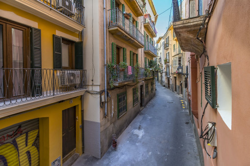 apartment in Palma de Mallorca Old Town