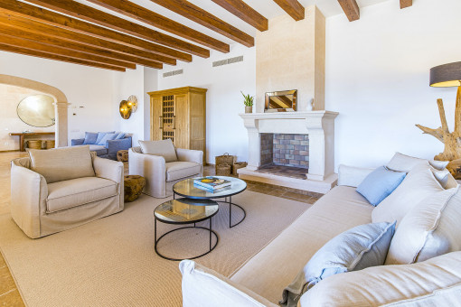 Living area with fire place