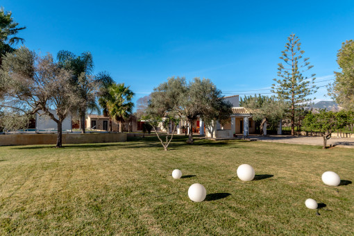 Large garden area