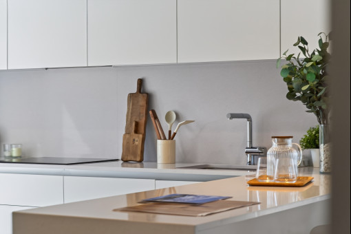 Modern kitchen