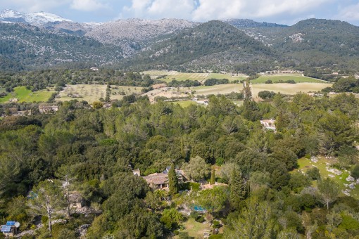 Surroundings