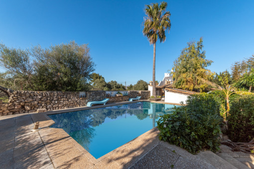 Tranquil pool area