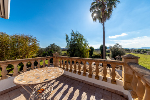 Garden views from the terrace