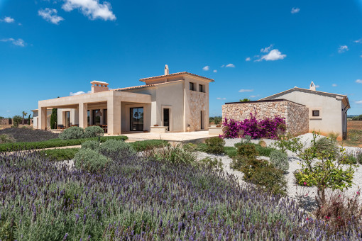 Harmonious outdoor area with Mediterranean flair