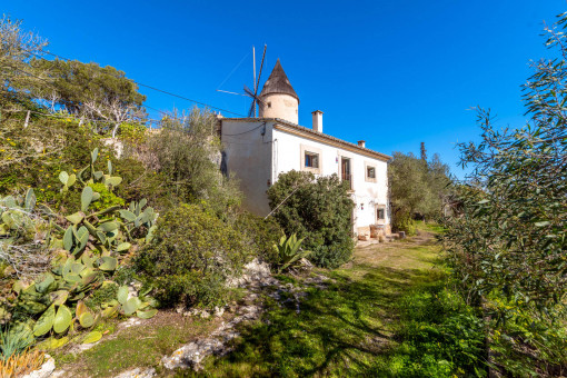 house in Santa Eugenia