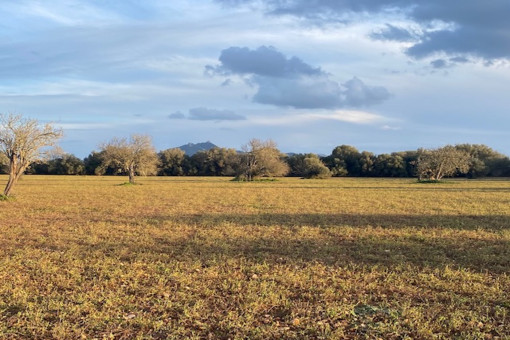 Beautiful finca building plot with views of San Salvador in a quiet location near Felanitx