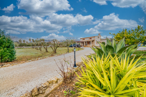 Access to the finca