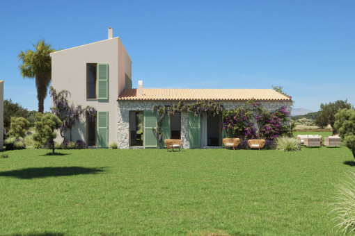 plot in Sineu