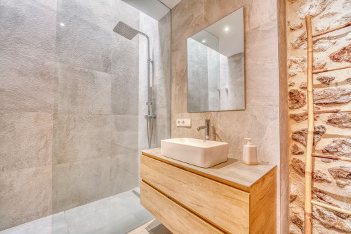 Modern bathroom with walk-in shower