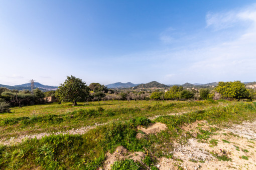 plot in Son Servera