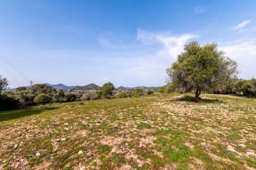 Plot of 17.750 sqm