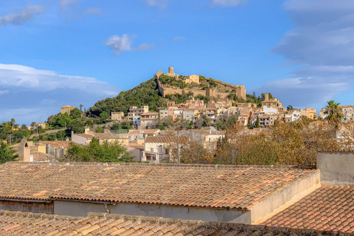 View from the terrace