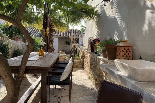 View of the garden
