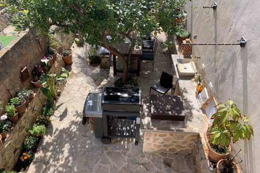 View to the garden