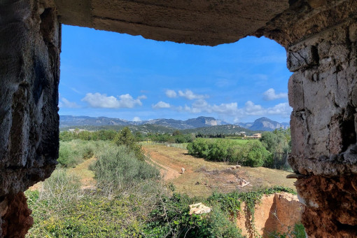 finca in Consell