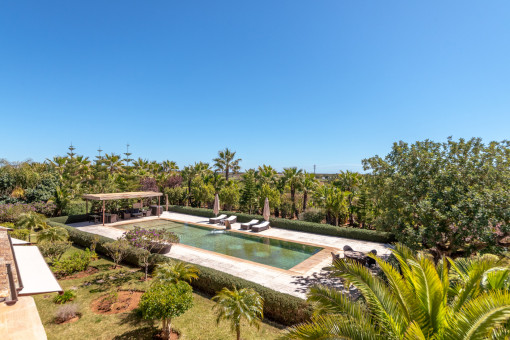 Pool area surrounded by the garden