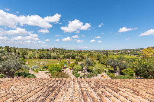 Quietly situated finca surrounded by a wonderful nature close to Cas Concos