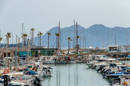 Beautiful harbour view