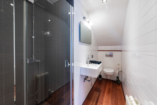 Modern bathroom with shower