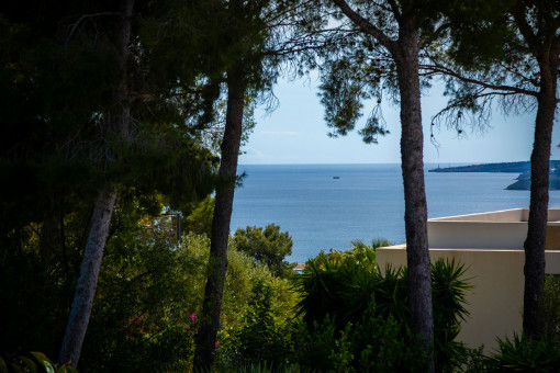 Beautiful sea views
