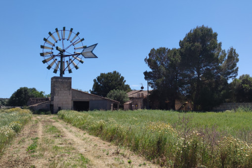 finca in Campos