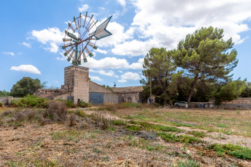 Spacious plot with a windmill