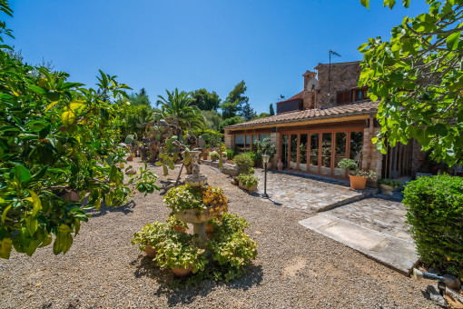 Mediterranean garden