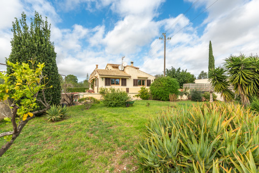 Idyllic garden