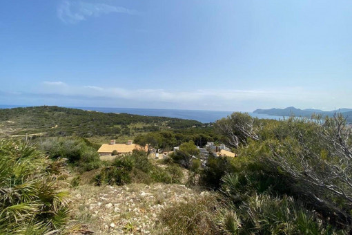 plot in Cala Ratjada