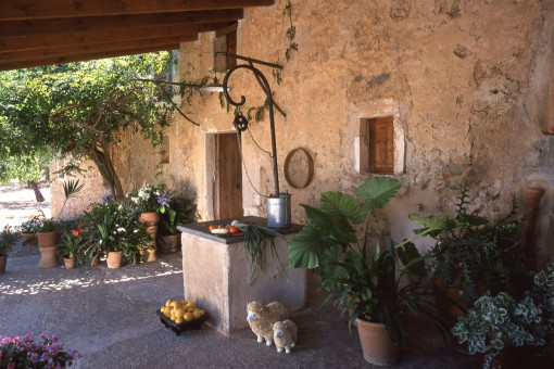 Shady terrace