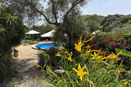 Views to the pool area