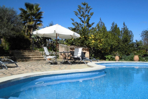 Pool area and its sun terraces