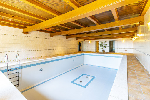 Fantastic indoor pool
