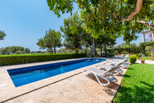 Pool area with sun loungers