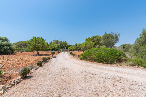 Drive way to the property