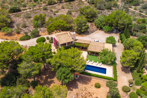 Finca from a birds-eye view