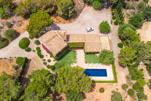 Finca from a birds-eye view