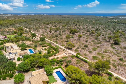 Finca from a birds-eye view