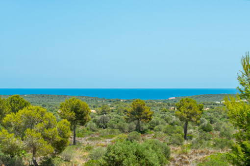 Splendid sea view