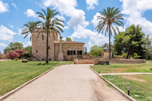 Mediterranean plot