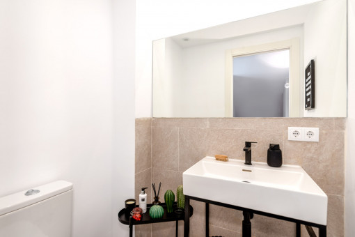 Separate toilet