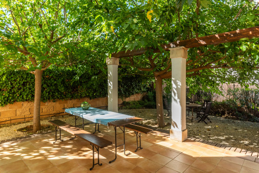 Rear terrace from the villa