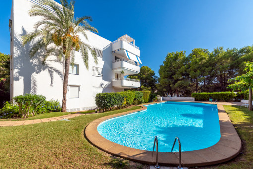 Lovely garden and pool