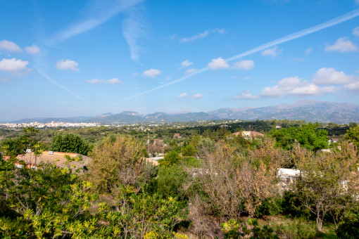 Panorama views