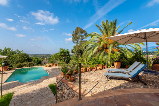 Beautiful laid-out terrace