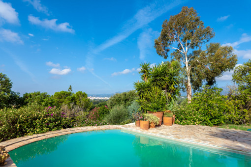 Pool oasis in a lush garden