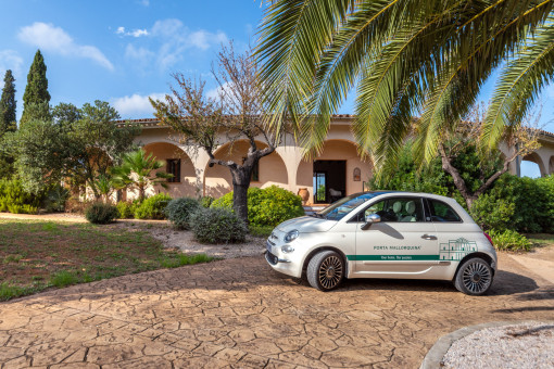 Front view and driveway