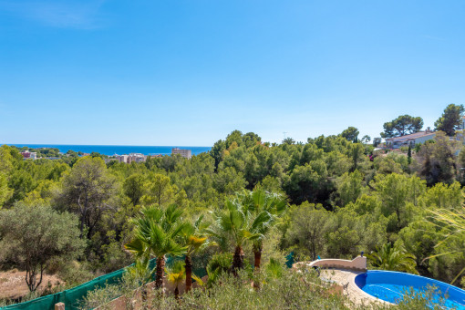 Sea views from the balcony