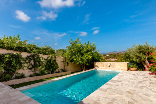 Idyllic pool area