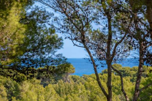 Impressive sea views